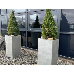 Høje frostsikre krukker i glasfiber lys beton